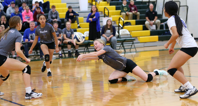10-28 Class D1 sub-district, Pleasanton vs. Shelton